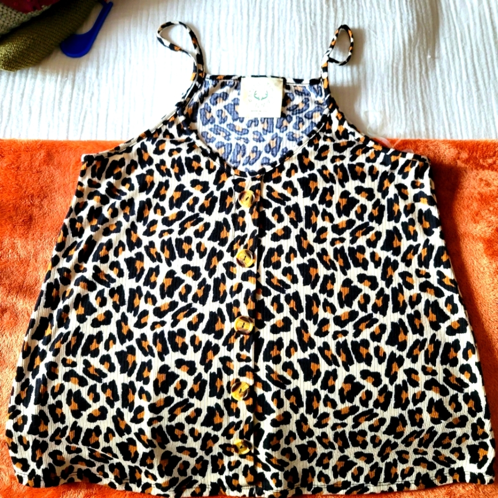 Cheetah tank